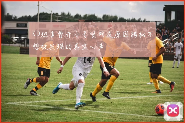 KD坦言曾开小号喷网友原因揭秘不想被发现的真实心声
