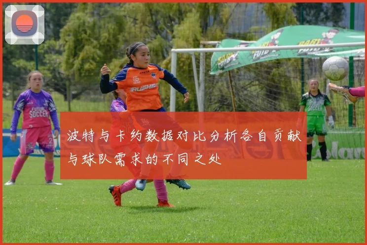 波特与卡约数据对比分析各自贡献与球队需求的不同之处